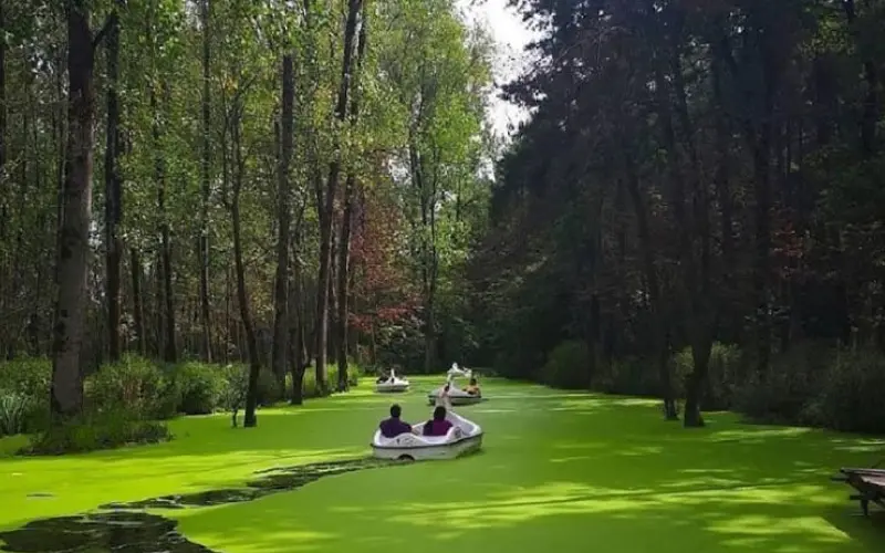 پارک جنگلی سراوان رشت